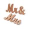 Rose Gold Mr &#x26; Mrs Sign Wooden Letters Wedding Table Decor Wedding Gift